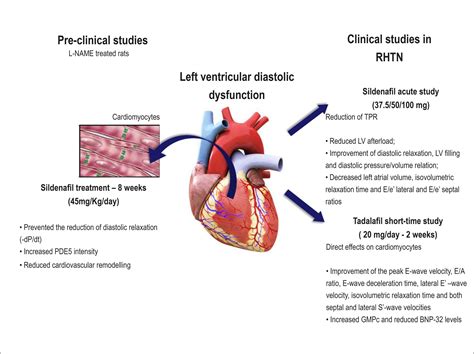 lv systolic function severely reduced